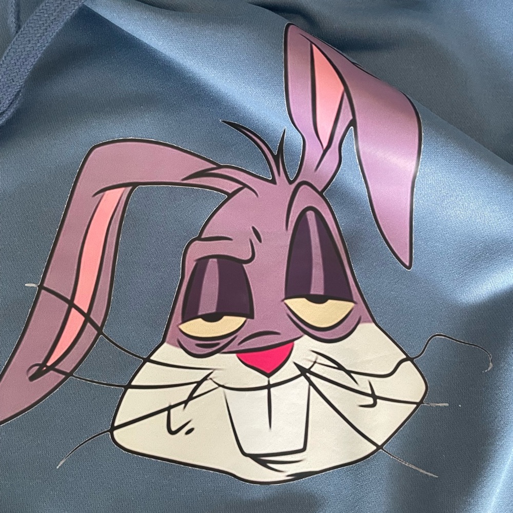 Size large hoodie tired rabbit